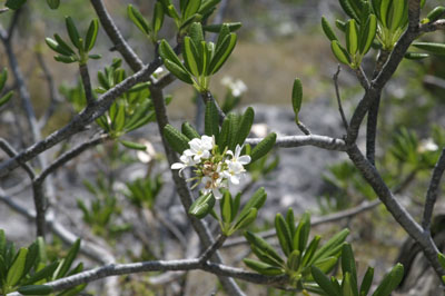 Cayman Brac Photo