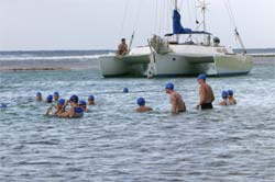 Brac Turtle Triathlon Photos