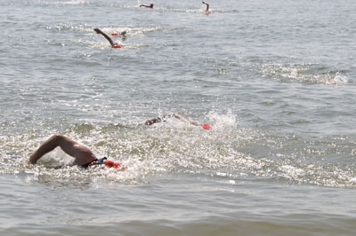 Buckroe Beach Open Water Swim Photo