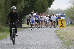 YMCA Spring Stride