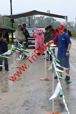 Smithfield Hog Jog Photo