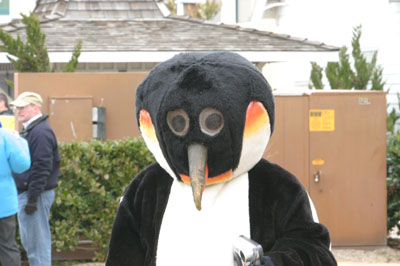 Penguin Angel Flight 5k Photo