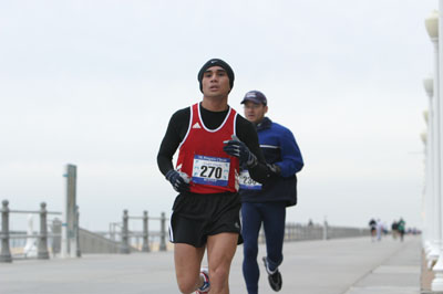 Penguin Angel Flight 5k Photo