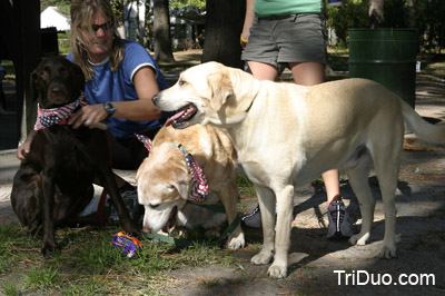 Suzy-n-Susie Dog Walk Photo