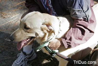 Suzy-n-Susie Dog Walk Photo