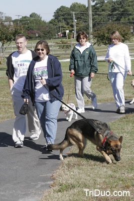 Suzy-n-Susie Dog Walk Photo