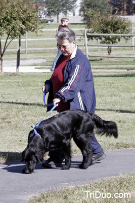 Suzy-n-Susie Dog Walk Photo