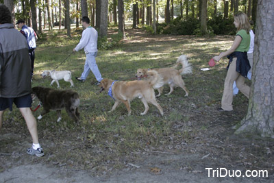 Suzy-n-Susie Dog Walk Photo