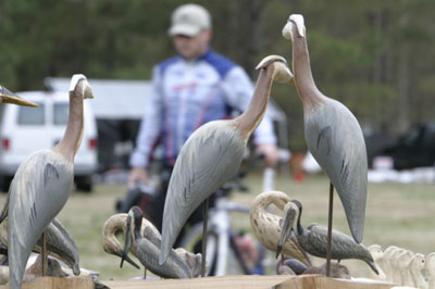 Virginia Duathlon Photo